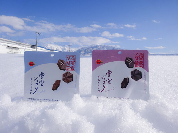 ブルボン　雪室ショコラ